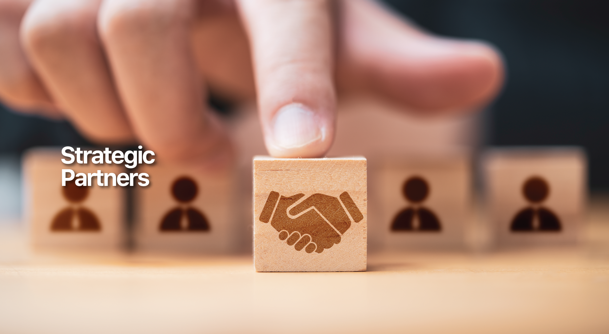 SBN STRATEGIC PARTNERS 2